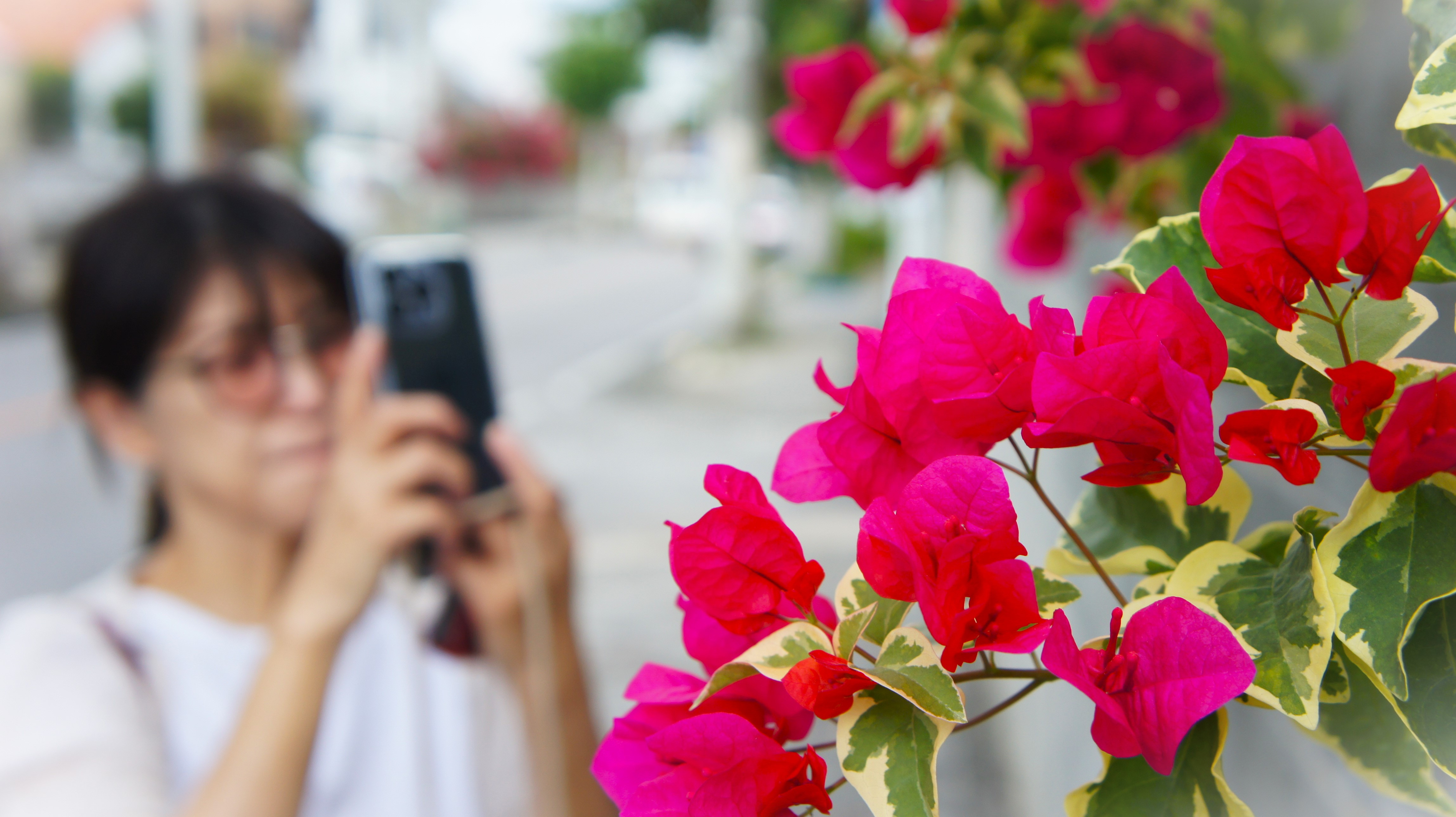 A5UMIPIOTO（エーゴウミフォト）　ダイビング&フォトツアー