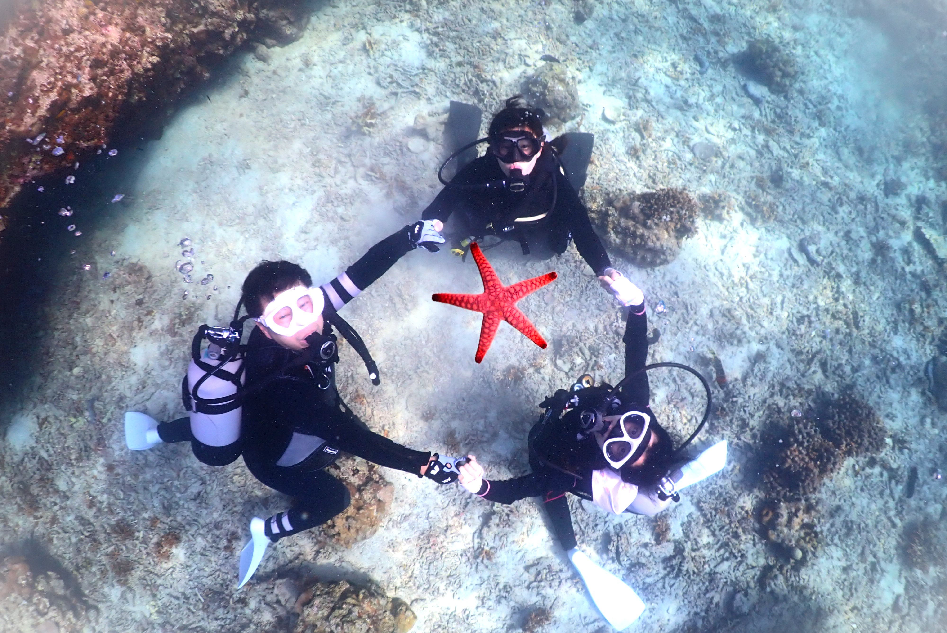 A5UMIPIOTO（エーゴウミフォト）　ダイビング&フォトツアー