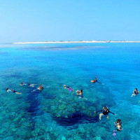 シュノーケリングツアー