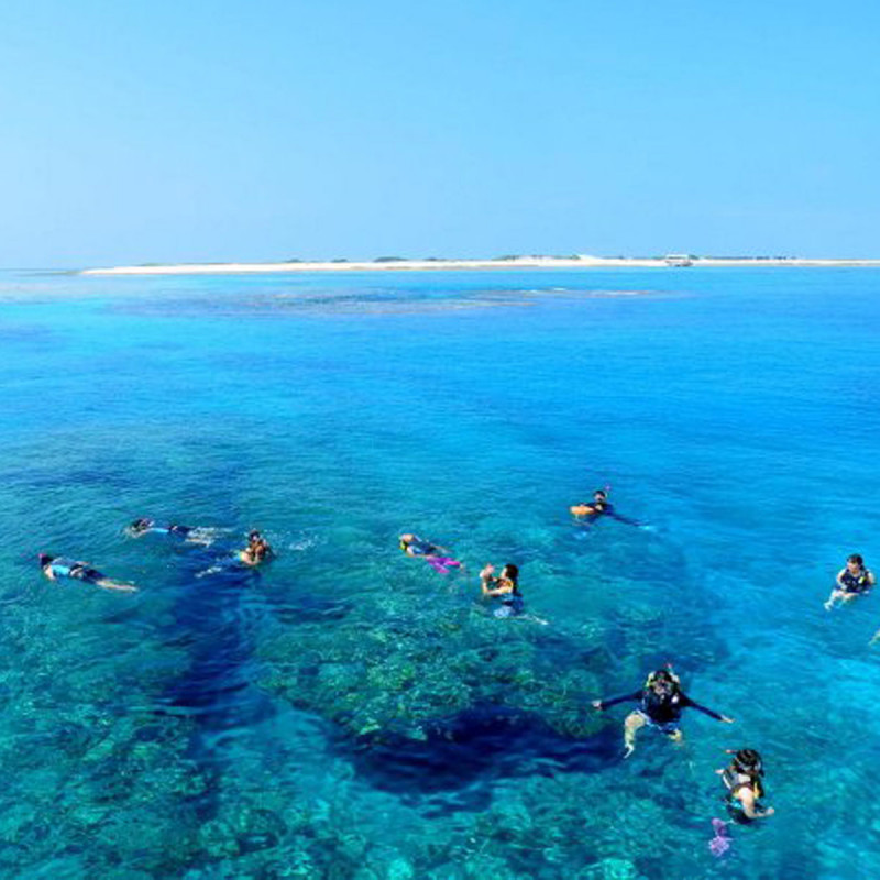 シュノーケリングツアー