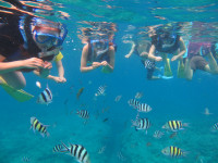 シュノーケリングツアー