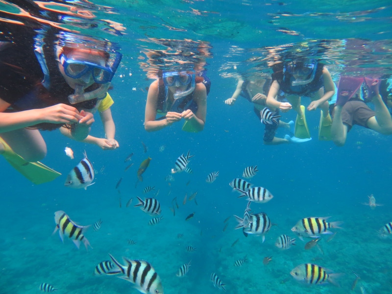 シュノーケリングツアー