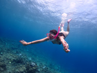 石垣島をスノーケルで満喫