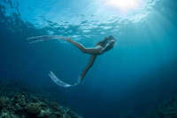 ロングフィンで泳ごう