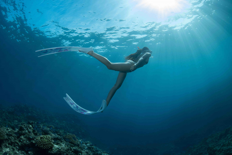 ロングフィンで泳ごう
