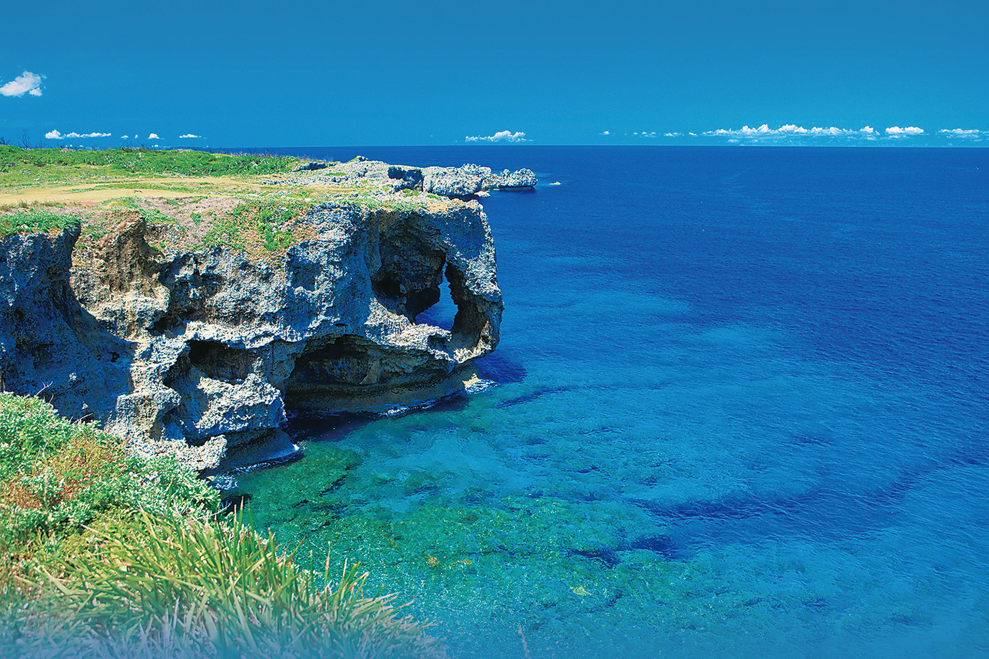 琉球発酵スイーツ「ミキボウル」