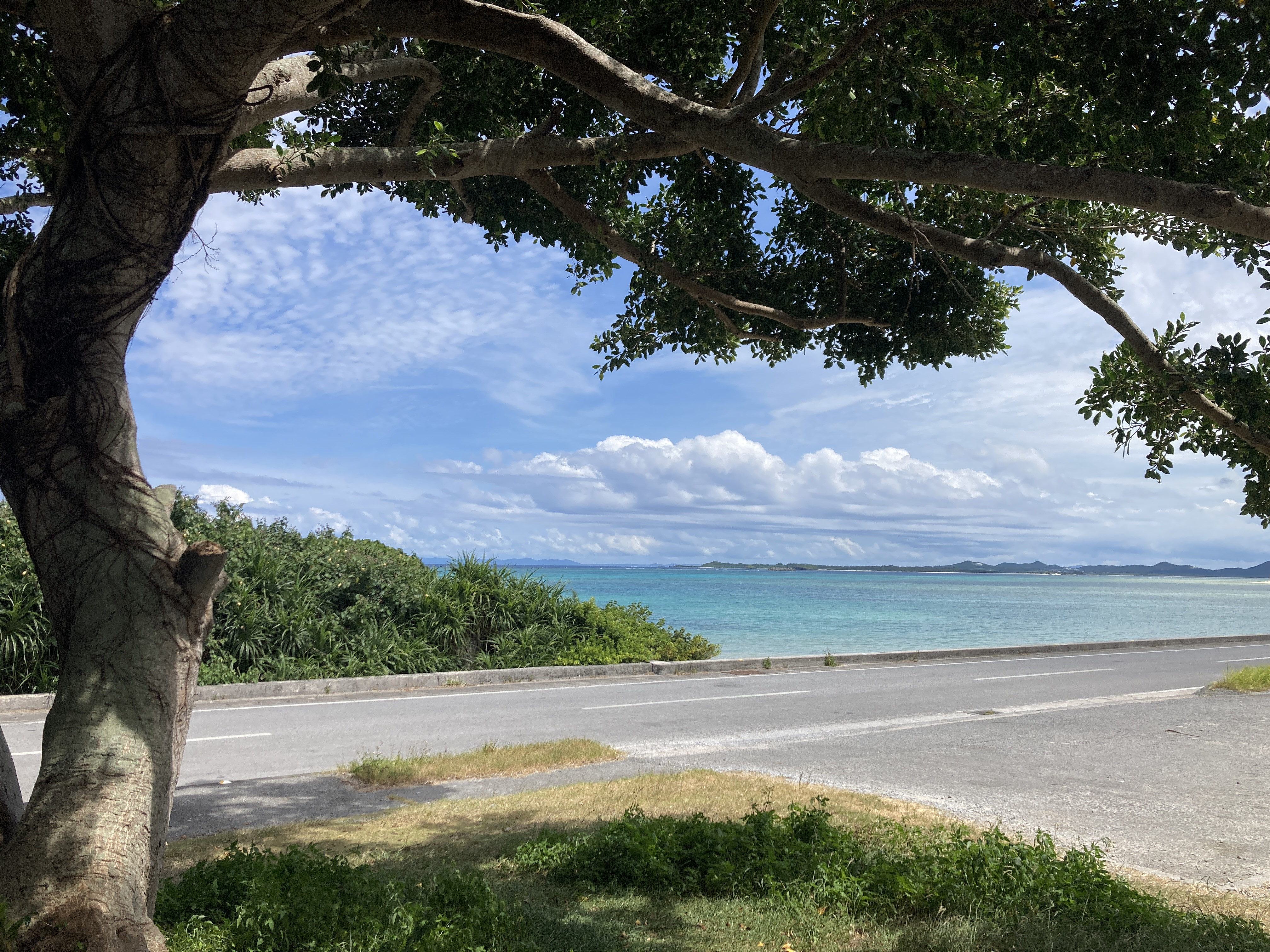 しまじり共同売店