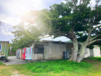 しまじり共同売店