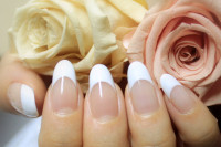 ネイルサンプル多数ございます