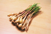 旬の食材の創作料理もございます。島らっきょうは農家から直接仕入れているので新鮮です！