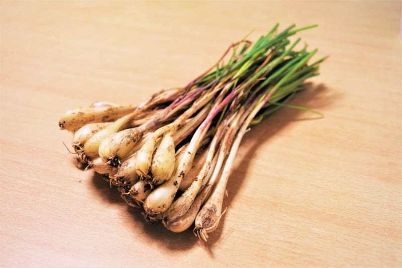 旬の食材の創作料理もございます。島らっきょうは農家から直接仕入れているので新鮮です！