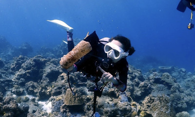 水中ゴミ拾い専門店Dr.blue