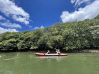 広大なマングローブ林でのんびりカヌー体験。