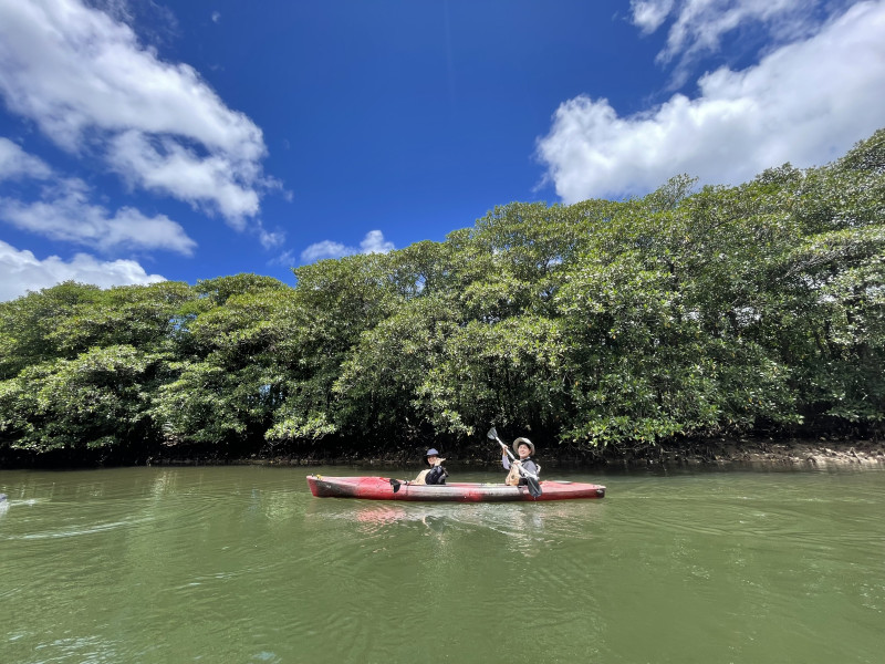 広大なマングローブ林でのんびりカヌー体験。