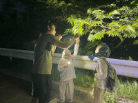虫にいにいと夜の生き物観察ツアー。