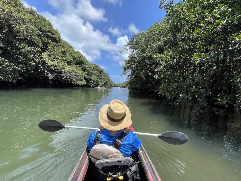 一人乗りと二人乗りのカヌーが選べます。
