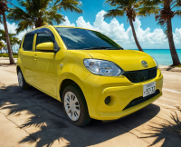 パッソ♪カーナビ/ETC/バックモニター/Bluetooth/標準装備