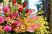 アレンジメント