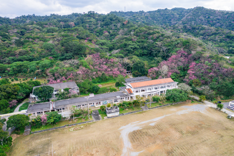 やんばるの森に囲まれてる喜如嘉翔学校