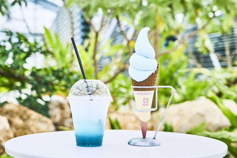 藻類からとれる青色素を使用したソフトクリームやドリンクをお楽しみいただけます