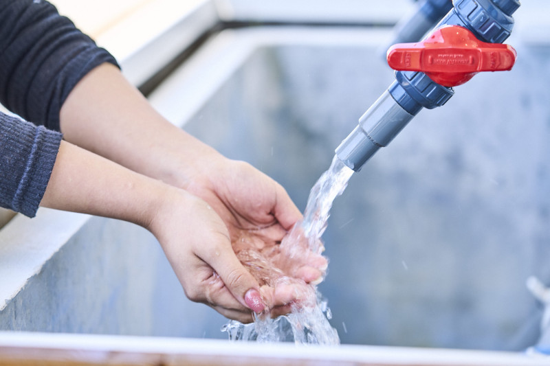蛇口から流れる海洋深層水に触ってみよう！