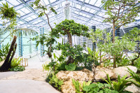 藻類ハウス内の様子。リアクターと植物に囲まれた休憩スペース。