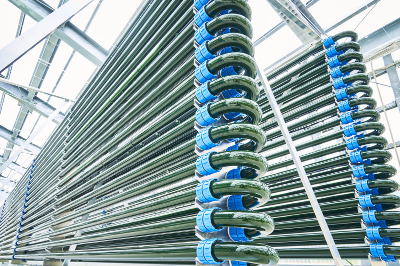 藻類が流れるリアクター