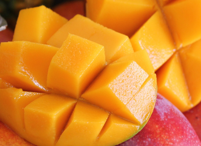 石垣島直営農園 自然栽培マンゴー