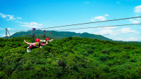 SKY PHOENIX スカイ フェニックス