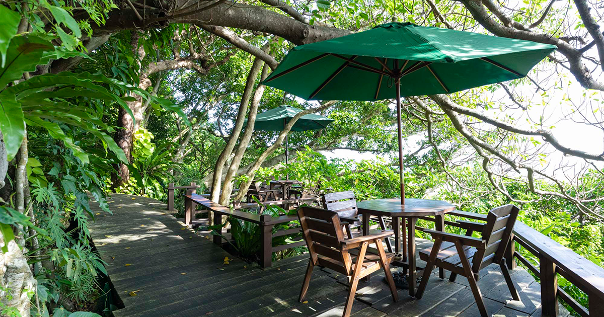 癒しの絶景カフェ Okinawa「森カフェ」 | 沖縄観光情報WEBサイト おきなわ物語