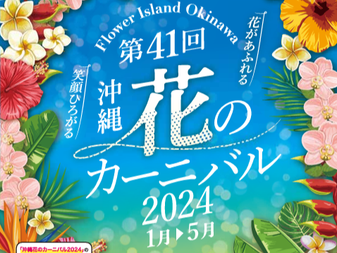 JAL PRESENTS 琉球海炎祭2025 琉球*海花のたね カラフル エアファーン