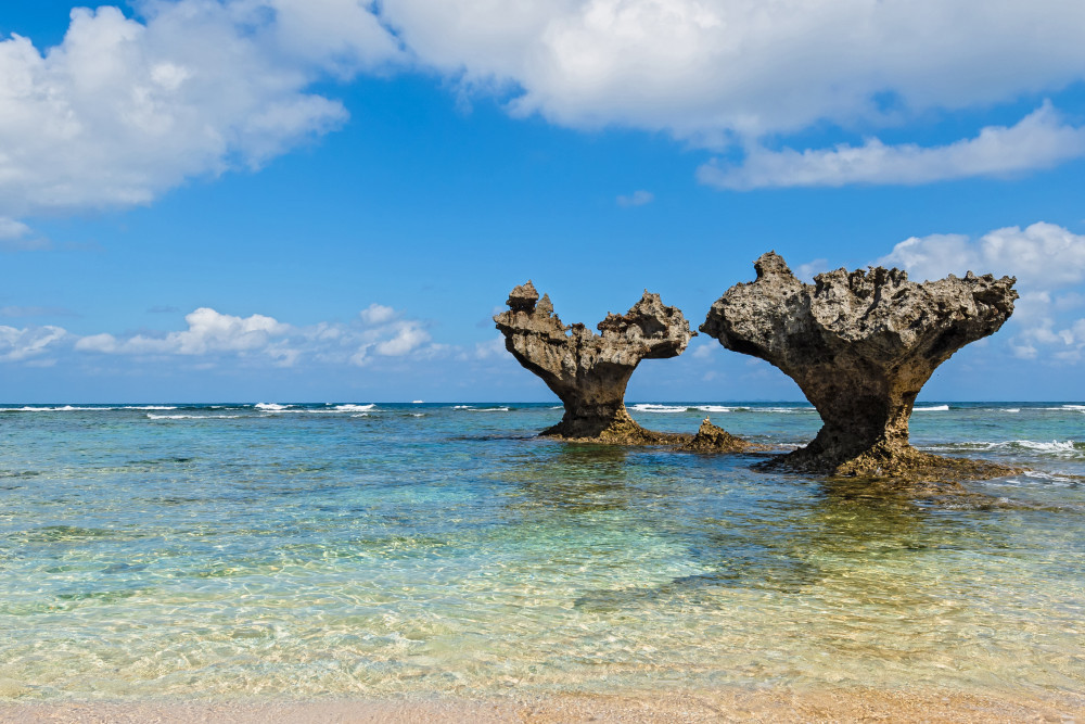 アケ様　　琉球*海花のたね アケ様 琉球*海花のたね アケ様 琉球*海花のたね 心と体が癒される