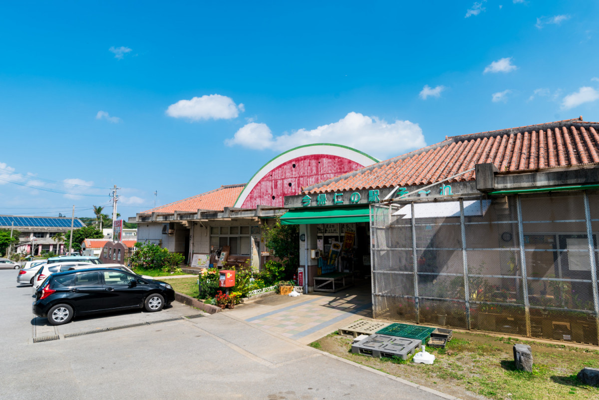 image_c51e633246a5b9f6d6820137