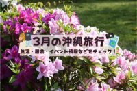 3月の沖縄　旬のおすすめ！