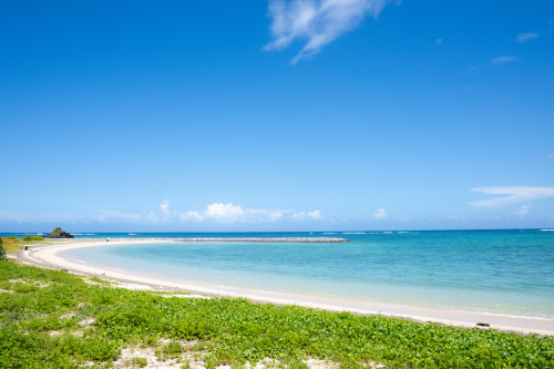 壁紙カレンダー