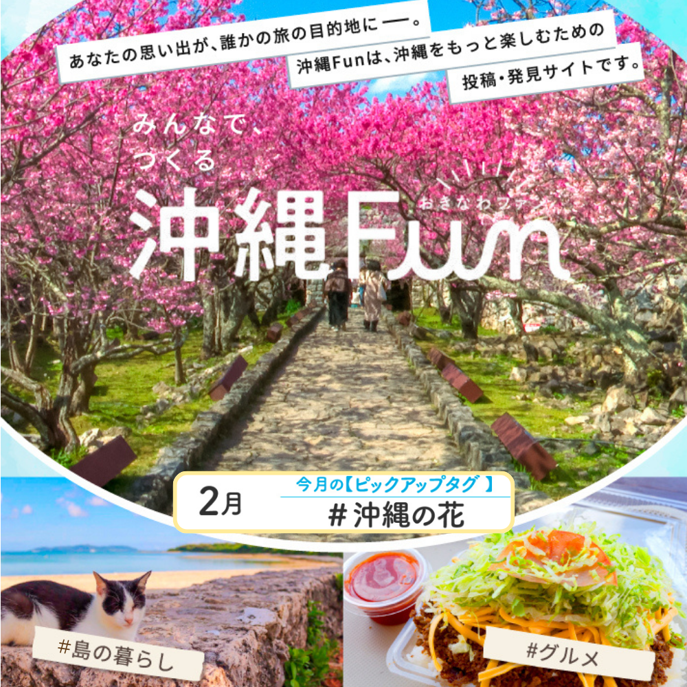 沖縄ファンコミュニティサイト「沖縄Fun」