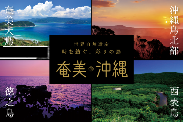  奄美・沖縄 世界遺産を旅する