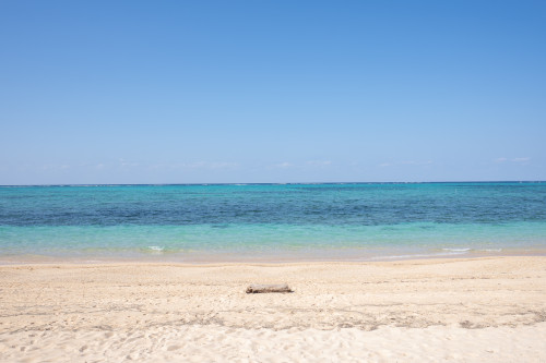 壁紙カレンダー