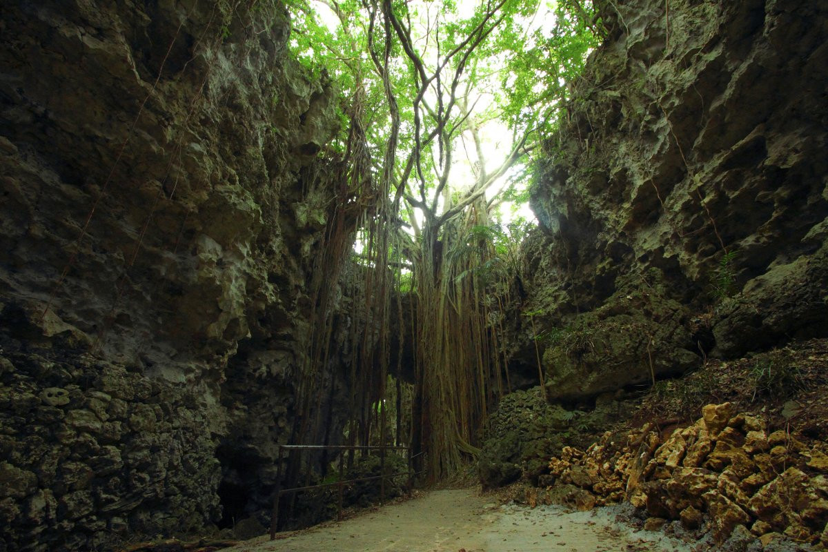 ガンガラーの谷は、洞窟と森が織りなす神秘的な光景を拝める