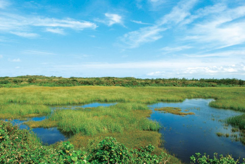 渡り鳥の休息地「池間湿原」