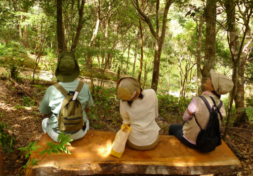 国頭村森林公園内には、適宜ベンチが設けられているので、疲れたら一休み。