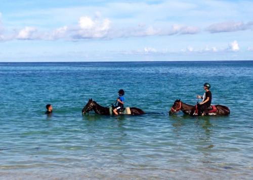 夏の時期は馬たちと一緒に海にも入れちゃいます！