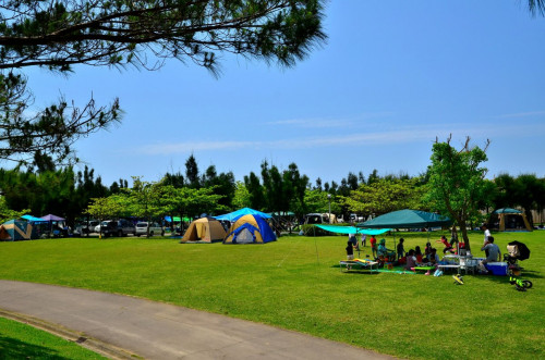 キャンプエリアは広いのでお隣のテントとも十分な距離が取れます