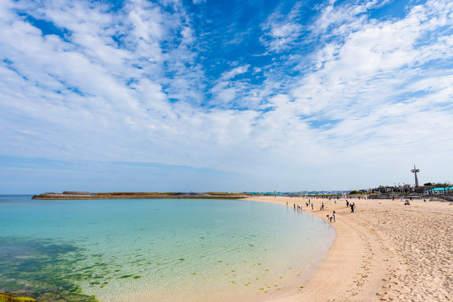 宜 野 湾 市