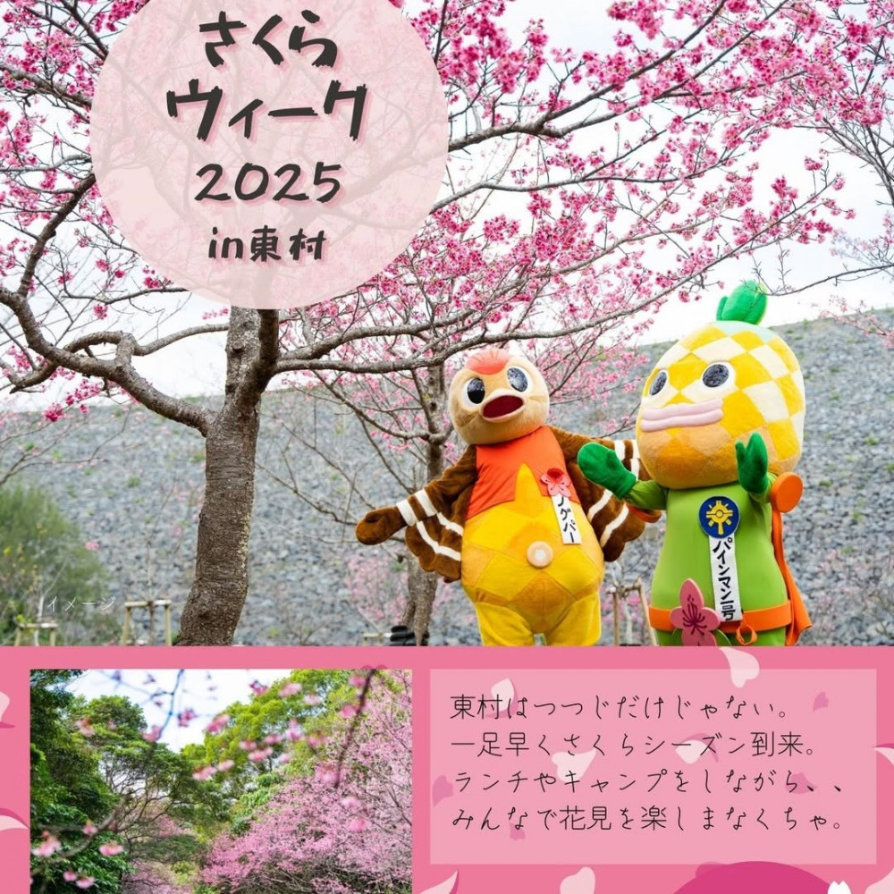 さくらウィーク 2025 in 東村