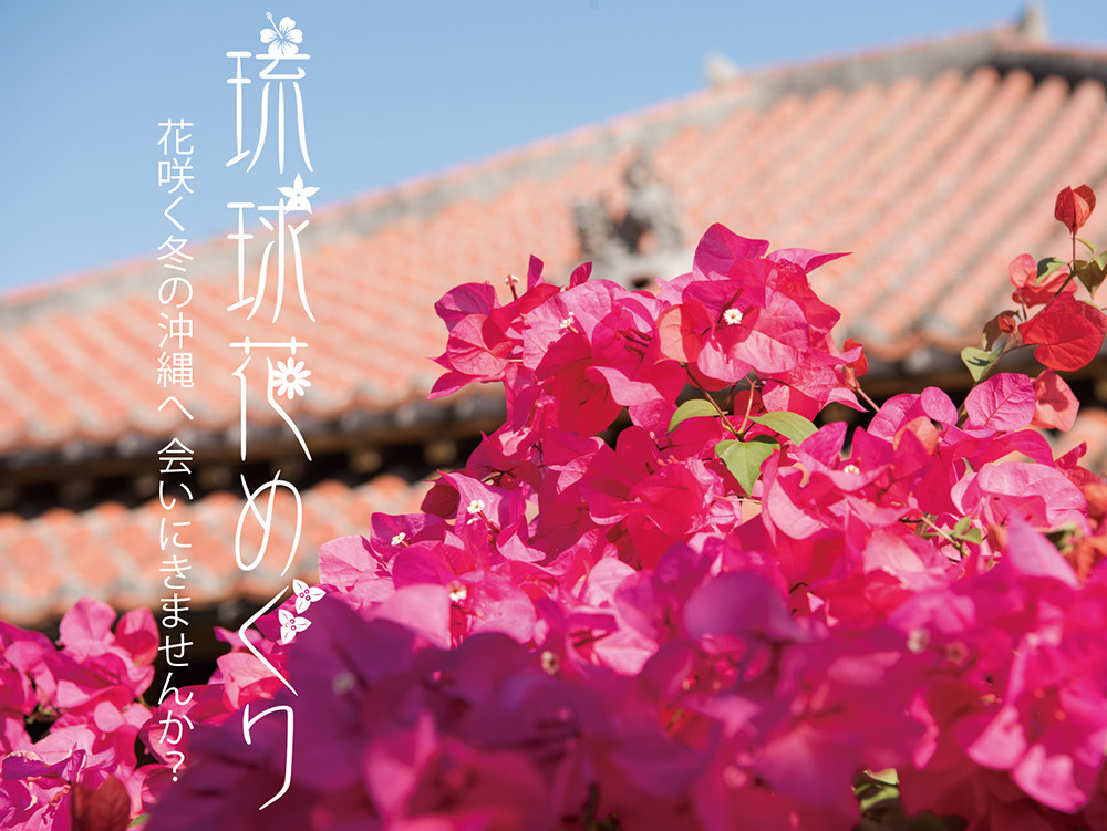 おきなわワールド花まつり「琉球花めぐり」