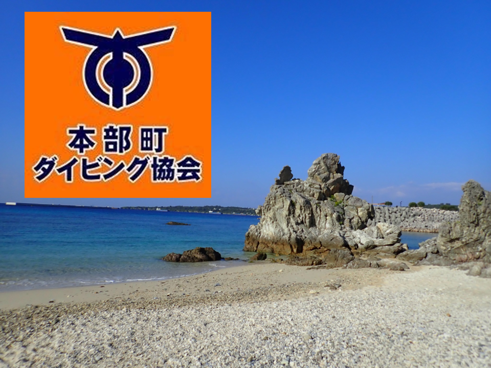 本部町ダイビング協会