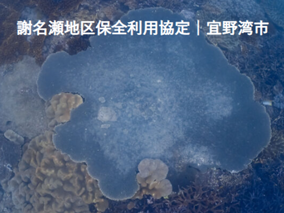 謝名瀬地区保全利用協定　締結事業者団体