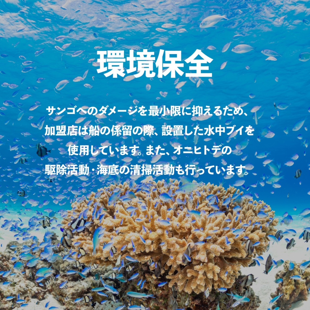 一般社団法人宮古島美ら海連絡協議会