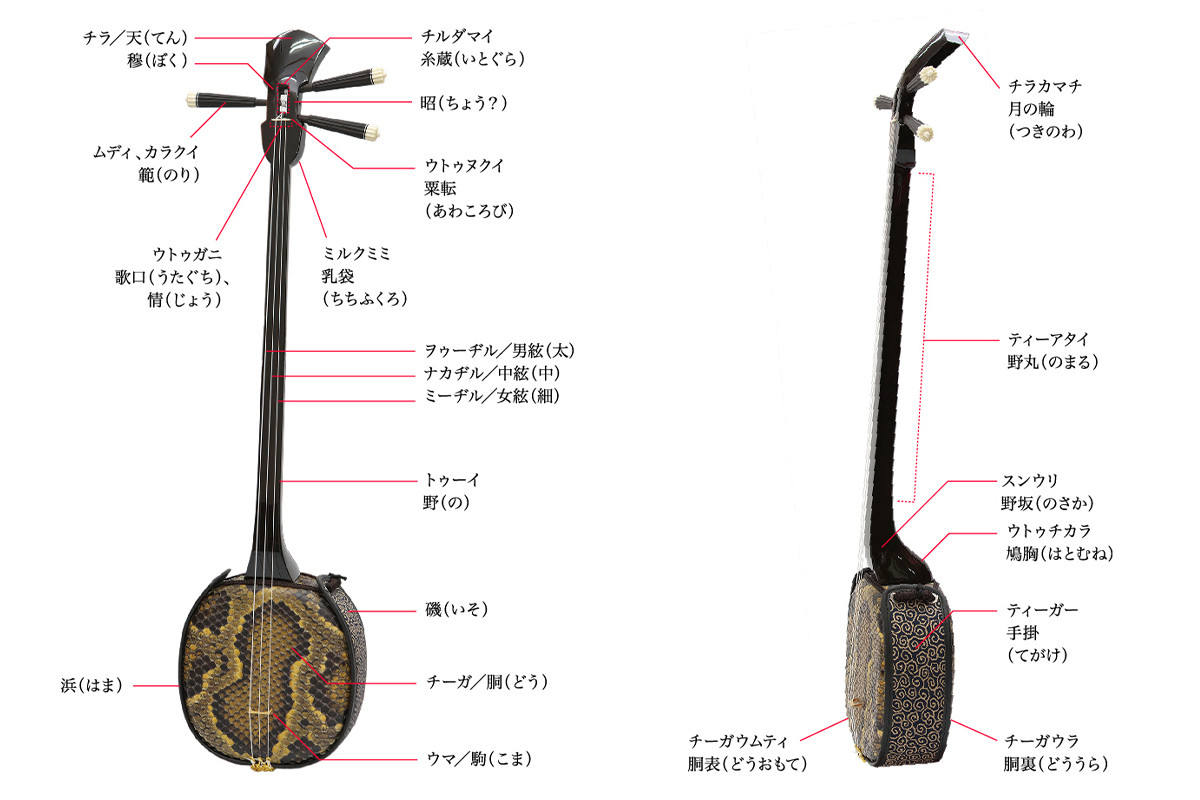 3月4日は三線（サンシン）の日】沖縄の伝統楽器「三線」を紹介 ...